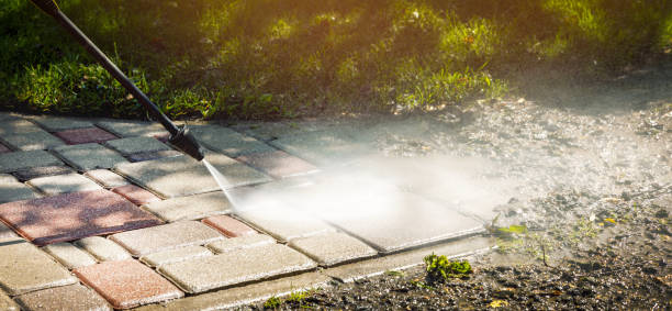 Best Solar Panel Cleaning  in Aurora, TX